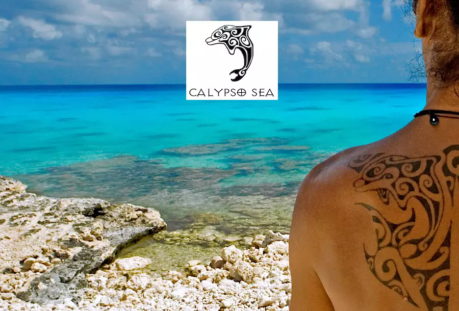 calypso sea home page image with logo