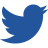 Picture of Twitter logo